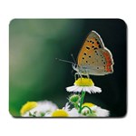 Eesign0228 Rec Mousepad