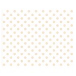 Polka Dots - Champagne Orange on White Double Sided Flano Blanket (Medium)