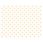 Polka Dots - Peach Orange on White Double Sided Flano Blanket (Medium)