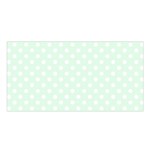 Polka Dots - White on Pale Green Satin Shawl