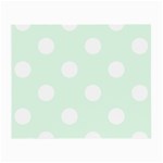 Polka Dots - White on Pale Green Small Glasses Cloth