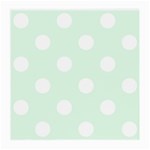 Polka Dots - White on Pale Green Medium Glasses Cloth