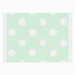 Polka Dots - White on Pale Green Large Glasses Cloth