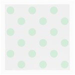 Polka Dots - Pale Green on White Medium Glasses Cloth