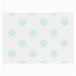 Polka Dots - Pale Green on White Large Glasses Cloth (2 Sides)