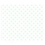 Polka Dots - Pale Green on White Double Sided Flano Blanket (Small)