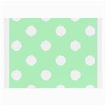 Polka Dots - White on Mint Green Large Glasses Cloth