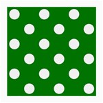 Polka Dots - White on Green Medium Glasses Cloth