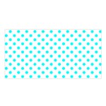 Polka Dots - Aqua Cyan on White Satin Shawl