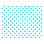 Polka Dots - Aqua Cyan on White Double Sided Flano Blanket (Medium)