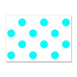 Polka Dots - Aqua Cyan on White Sticker A4 (10 pack)