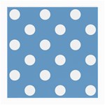 Polka Dots - White on Iceberg Blue Medium Glasses Cloth