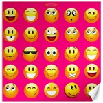 Emoji Pink Canvas 12  x 12 