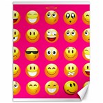 Emoji Pink Canvas 12  x 16 