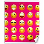 Emoji Pink Canvas 16  x 20 