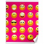 Emoji Pink Canvas 36  x 48 