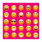 Emoji Pink Medium Glasses Cloth