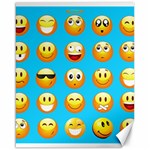 Emoji Blue Canvas 16  x 20 