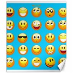 Emoji Blue Canvas 20  x 24 