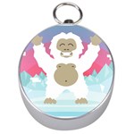 pink yeti  Silver Compass