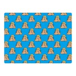 poop donald trump Double Sided Flano Blanket (Mini)