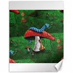 Magic Mushroom Canvas 18  x 24 