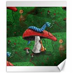 Magic Mushroom Canvas 20  x 24 