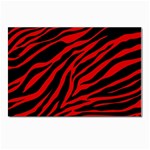 red  zebra  Postcard 4  x 6 