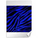 blue zebra Canvas 12  x 18 