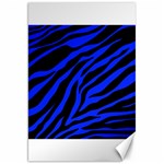 blue zebra Canvas 20  x 30 