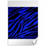 blue zebra Canvas 24  x 36 