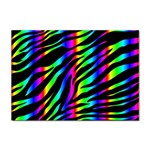 Zebra Rainbow Sticker A4 (100 pack)