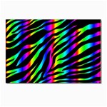 Zebra Rainbow Postcard 5  x 7 