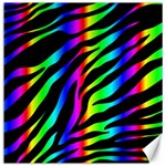 Zebra Rainbow Canvas 12  x 12 