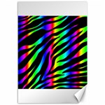 Zebra Rainbow Canvas 12  x 18 