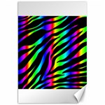 Zebra Rainbow Canvas 20  x 30 