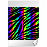 Zebra Rainbow Canvas 24  x 36 