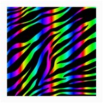 Zebra Rainbow Medium Glasses Cloth (2 Sides)