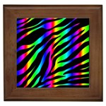 Zebra Rainbow Framed Tile