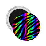 Zebra Rainbow 2.25  Magnet