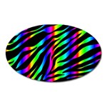 Zebra Rainbow Magnet (Oval)