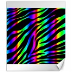 Zebra Rainbow Canvas 8  x 10 