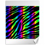 Zebra Rainbow Canvas 12  x 16 