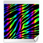 Zebra Rainbow Canvas 20  x 24 