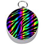 Zebra Rainbow Silver Compass