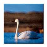 Swan ceramic wall tile / Tile Coaster / Tile trivet