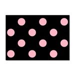 Polka Dots - Cherry Blossom Pink on Black Sticker A4 (10 pack)