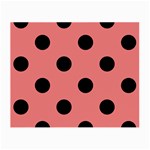 Polka Dots - Black on Coral Pink Small Glasses Cloth