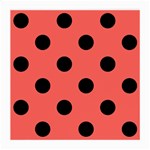 Polka Dots - Black on Pastel Red Medium Glasses Cloth