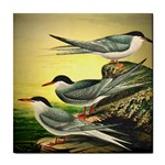 Arctic tern ceramic wall tile / Tile Coaster / Tile trivet